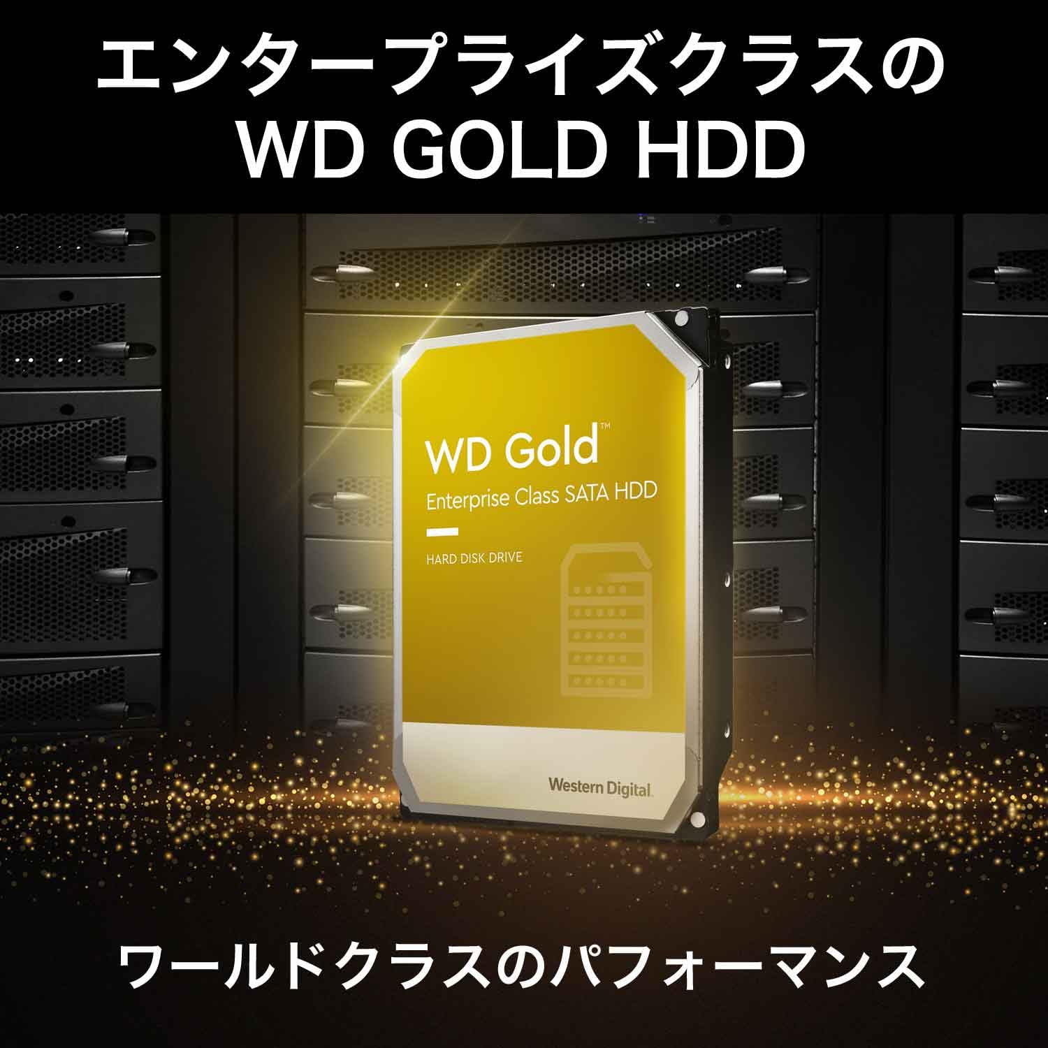 ウェスタンデジタル WD Gold 24TB SATA HDD 7200rpm