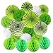 Ventilatori di Carta Decorazione Pompons e Palle a Nido d'Ape per Decorazione della Festa Nuziale Nozze Nidi Tatuaggi Nuziale Doccia Camera della Decorazione della Parete (Verde)