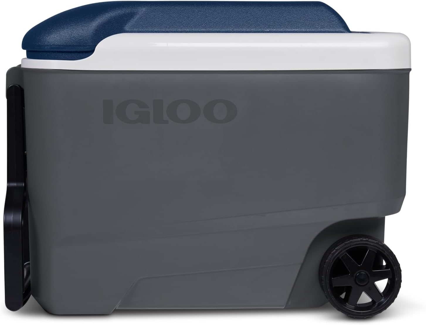 Igloo