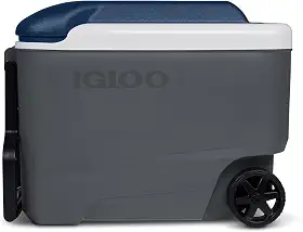 Igloo 00034226 Maxcold 40 Roller CARB.WHT.A-SEA.BLK