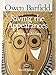 Saving the Appearances: A Study in Idolatry