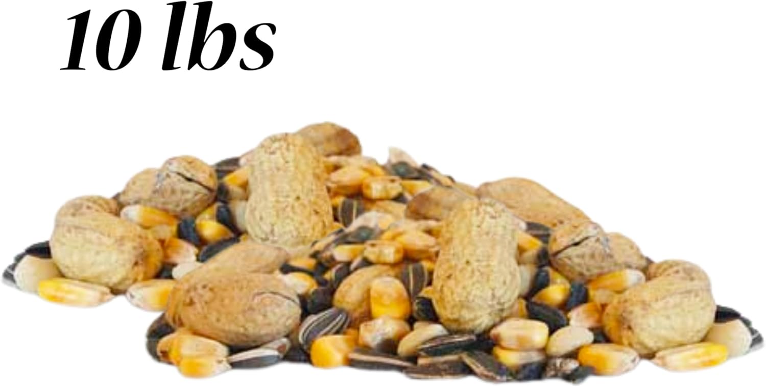 BestNest Critter Snack Seed Mix, 10 lb Bag | Blend of Corn, Peanuts & Seed for Wildlife | Nutritious Backyard Food for Birds, Squirrels, Deer & More | High-Protein, Energy-Rich Wild Animal Feed