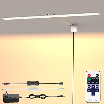 24-inch Dimmable LED Picture Light with Remote, Warm White, Plug-in or Hardwired, Silver