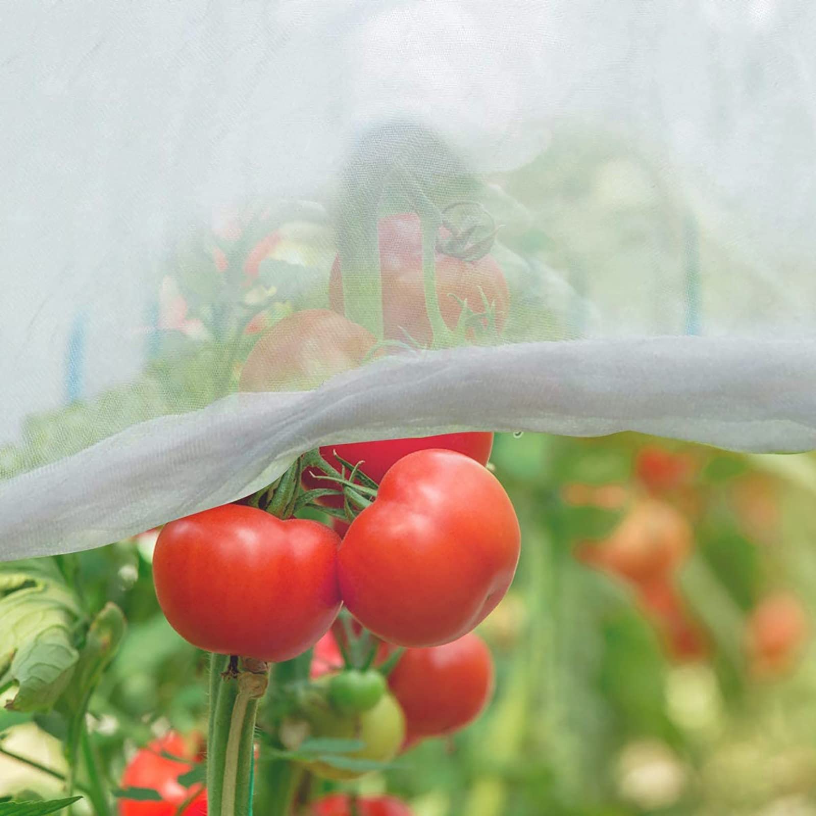 Rete per insetti a maglie strette， Garden Netting To Cover Vegetables Fruits Flowers From Animals Insects