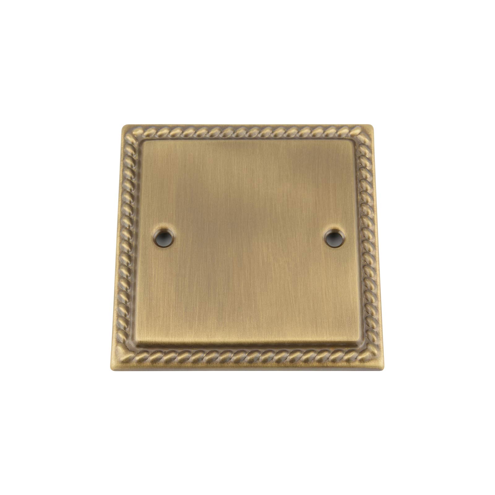 Antique Brass Georgian Blank Plate Single