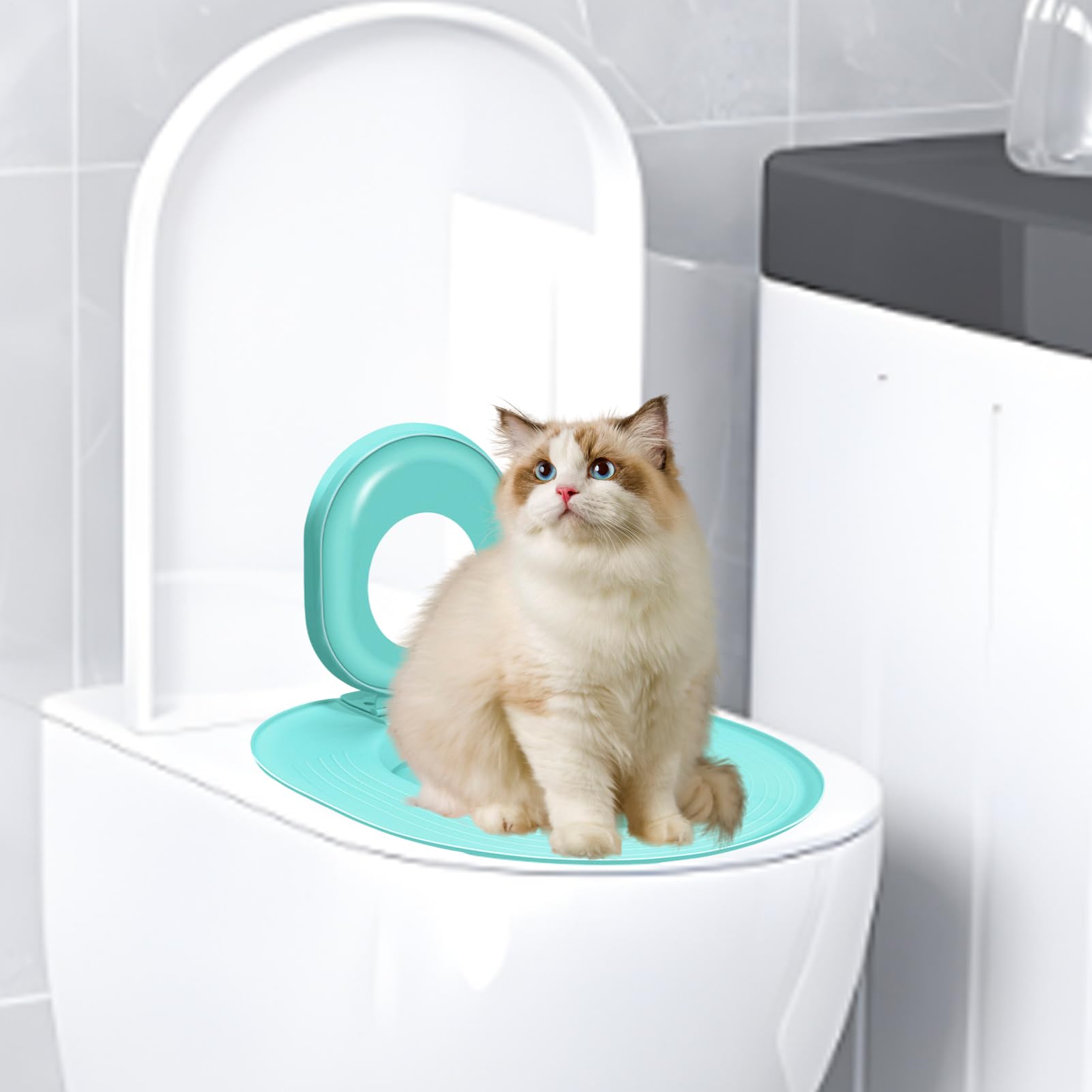 Toilet Letting Box Trainer - Kit Di Allenatore Per Gatti Per Gatti, Vasino Di Sedile Orinatoi Riutilizzabili | Allenatore Di Igiene Cat Per Per Animali Domestici, Strumento Di Allenamento Con