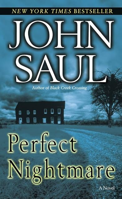 Portada de Perfect Nightmare