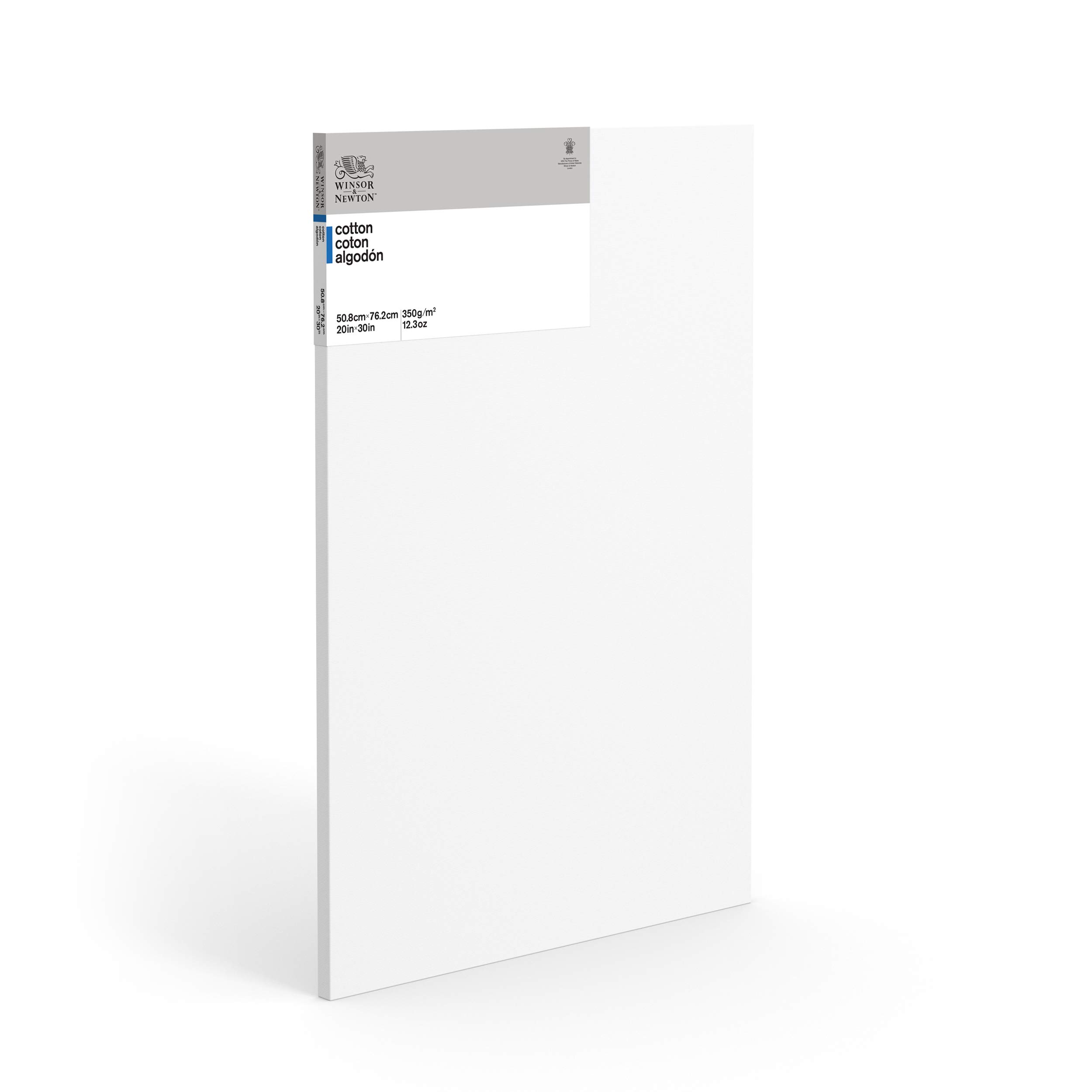 Winsor & Newton 20 x 30-Inch Classic Cotton Traditional Canvas (Pack of 1)