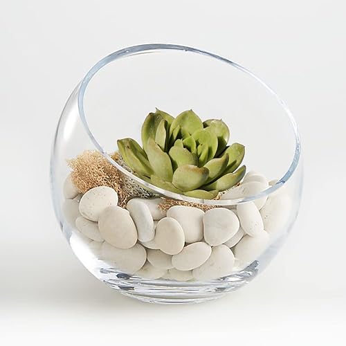 Miniatura 5 de Dicunoy Rocas blancas de río de 6 libras, piedras pulidas naturales para plantas, rocas lisas de 1-2 pulgadas para paisajismo, relleno de jarrón,