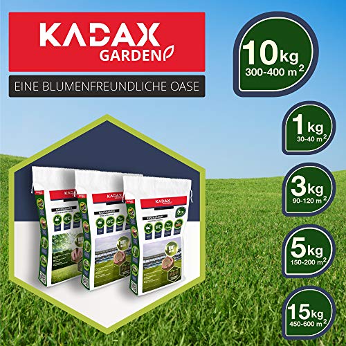KADAX Sportrasen, 400 m², Spielrasen, Saatgutmischung, Rasensamen, Grassamen, Rasensaat, Rasenmischung, wirksames Saatgut, Gras, Rasensaatmischung (10 kg) - Image 4