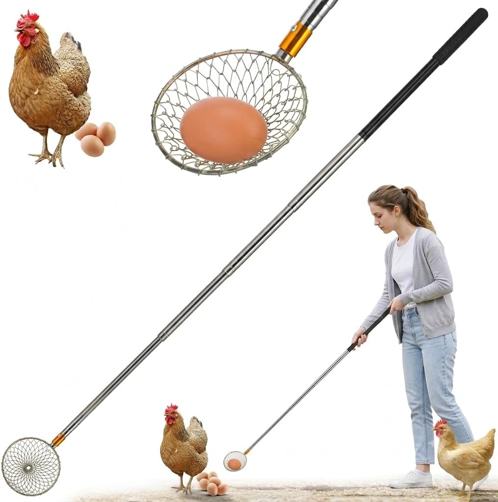 LIOOBO Egg Grabber for Chicken Coop: Extendable Peanut Picker - Stainless Steel Long Handle Picking Tool Reacher Separator for Quail Poultry Nest Farm Potato Pecans Diameter-4.2in