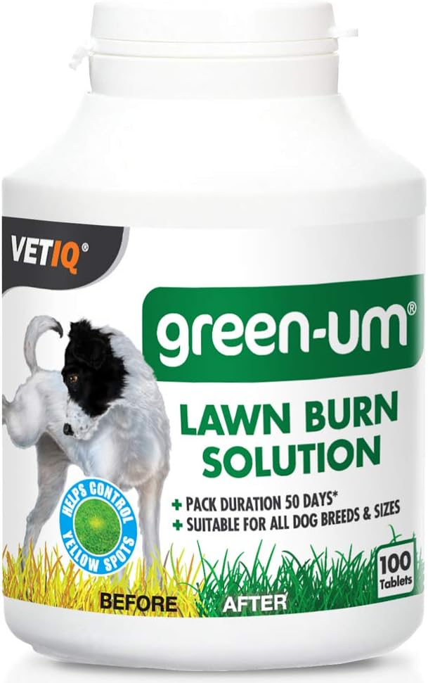 VetQ Green-Um Chewable Tablets for Dogs, Supports Skin & Coat Health, 100-Count