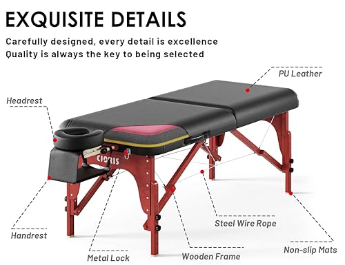 Miniatura 36 de CLORIS Mesa de masaje profesional de 84 pulgadas, portátil, 3 plegables, ligera, para salón facial, spa, cama de tatuaje, altura ajustable con bolsa