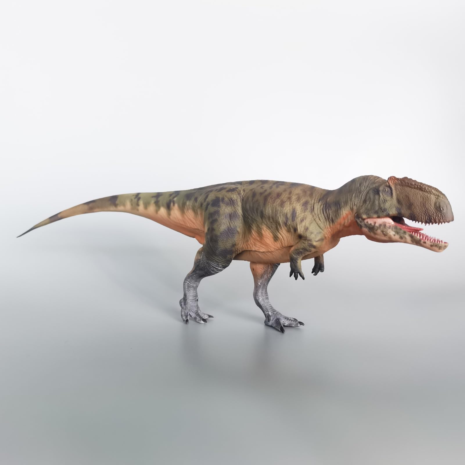 Haolonggood Giganotosaure Échelle 1:35 Modèle animal préhistorique mâchoire mobile
