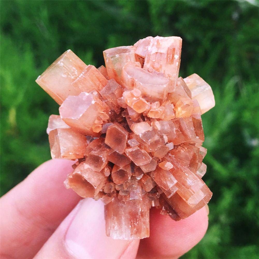 PAKMEZ Cluster di Cristalli Naturali di Aragonite Cristalli Naturali e Grezzi Irregolari -