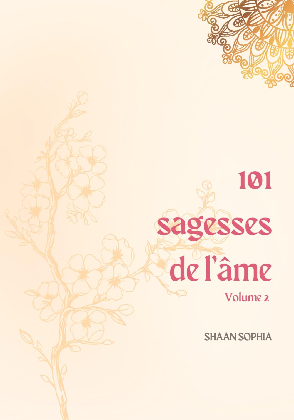 101 Sagesses de l'âme: Volume 2 - 101 invitations pour t'éclairer et t'accompagner au quotidien