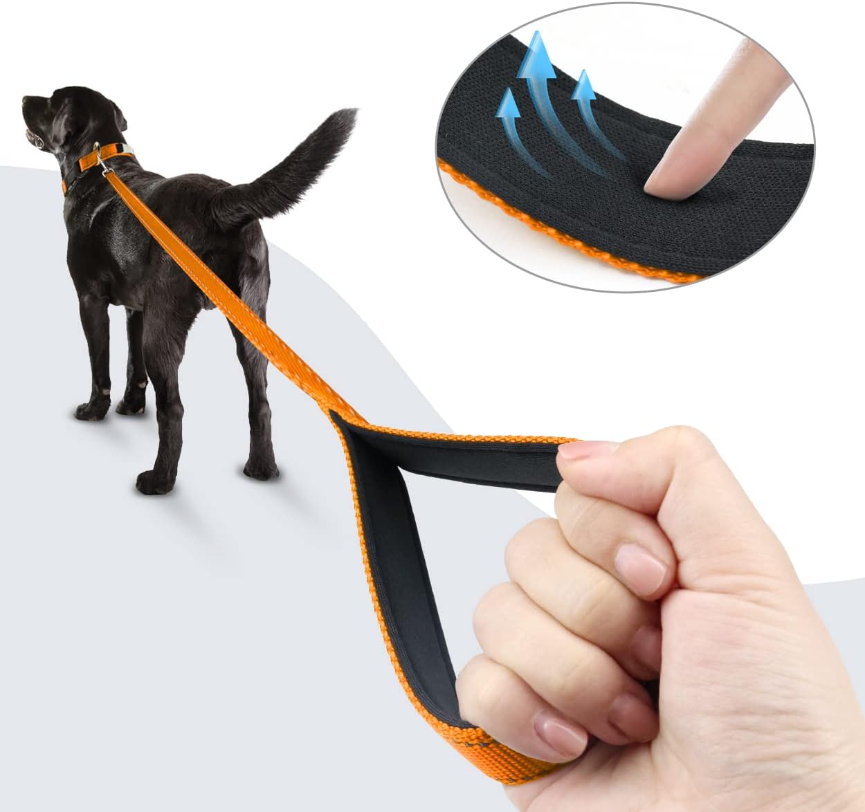 TagME 5FT Double-Sided Reflective Dog Leash, Soft Padded Handle Nylon Dogs leashes for Walking and Training for Medium & Large Dogs, Orange