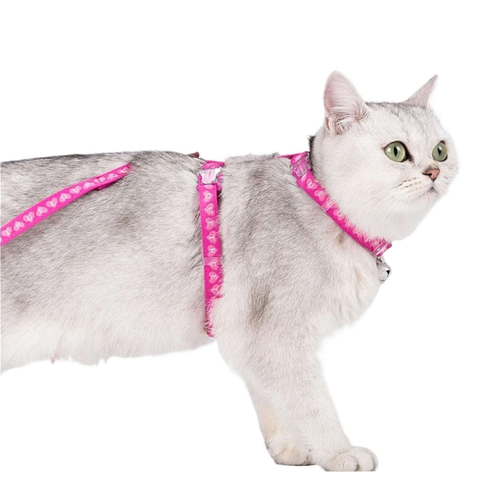 Truelove Pet TLH3912 Ensemble harnais et laisse en forme de H – Style gilet anti-évasion pour chats chiots maison et extérieur (bleu)