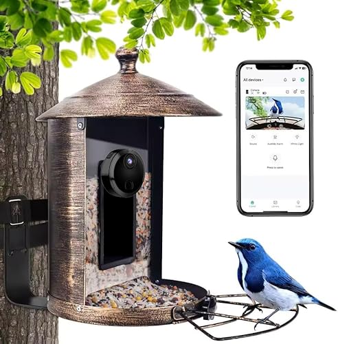 LySuyeo Mini Kamera 1080P – WLAN Innenkamera mit Live-Übertragung per App, Bewegungserkennung, Nachtsicht, Magnetische Halterung, Akku- & USB-Betrieb – Ideal für Zuhause – Schwarz