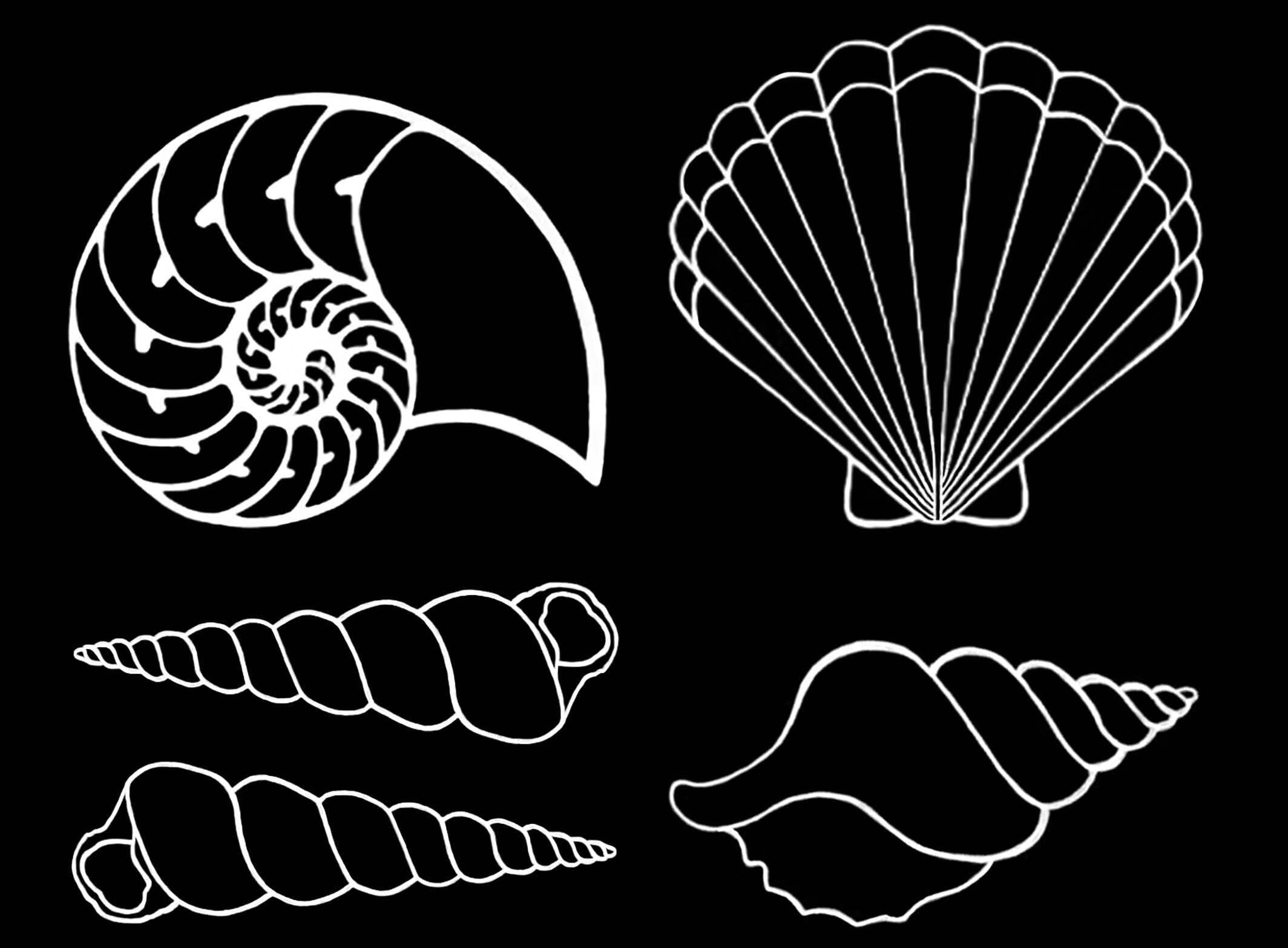 Seashells Shells 25 pcs 1 Inch White Fused Glass Decals