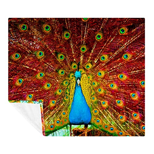 Couverture magnifique et confortable en polaire de microfibre fine - 2