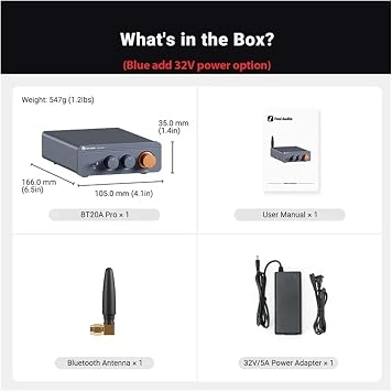 Amplifier BT20A Pro Max Power 600W TPA3255 Mini HiFi Bluetooth Sound Home Stereo 2.0Channels(Blue add 32V power)
