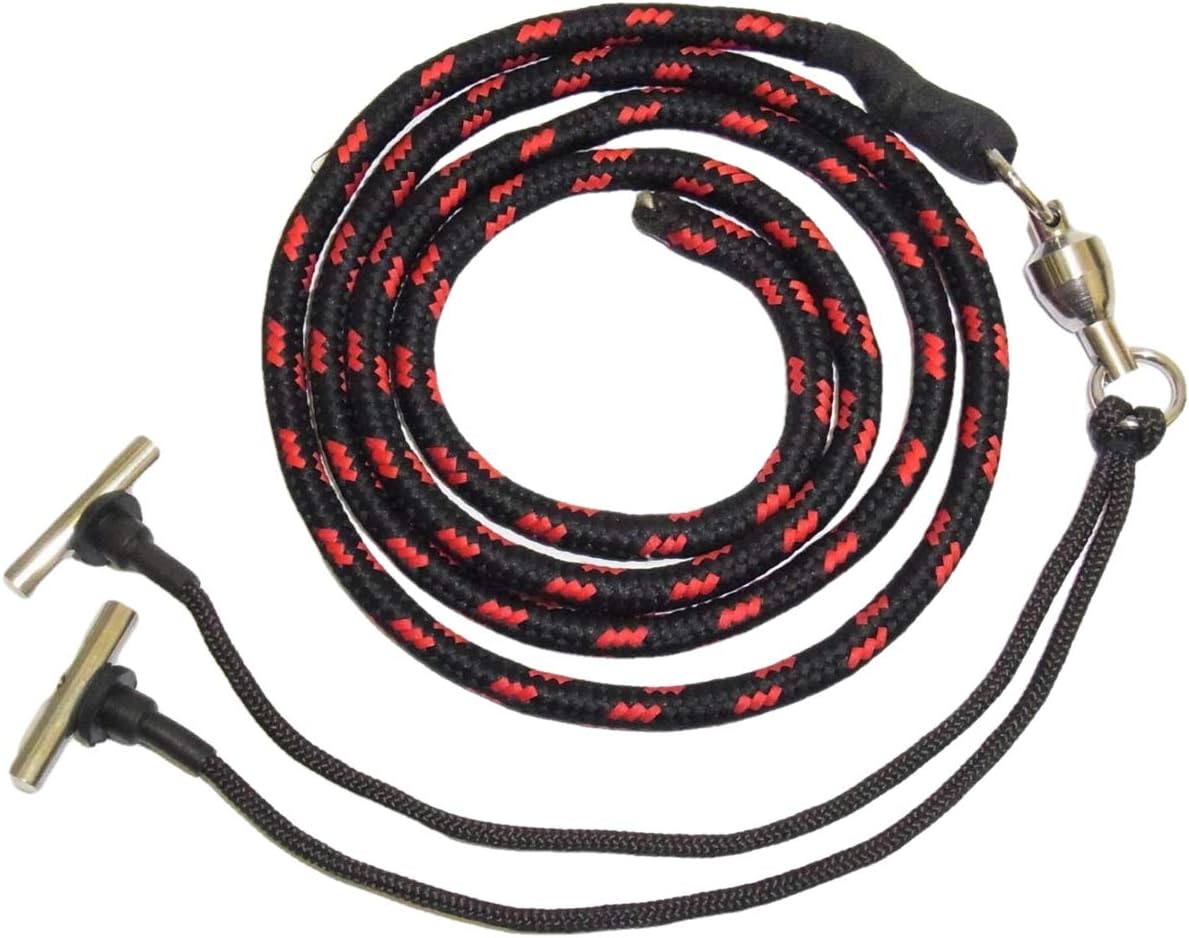 falconry leash
