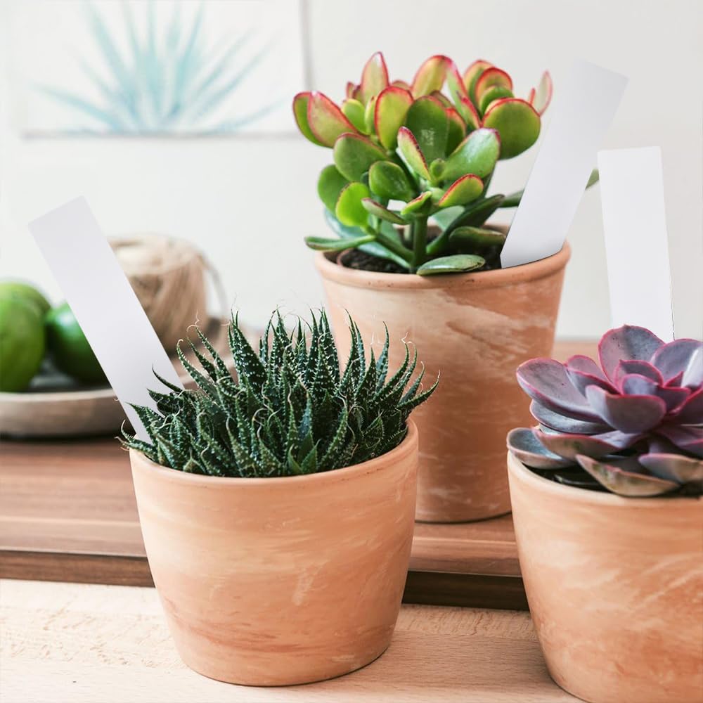 Etichette Per Piante - 150 Pezzi, Impermeabili, 2x10cm, Per Giardino, Semi E Erbe Aromatiche - Foto 8