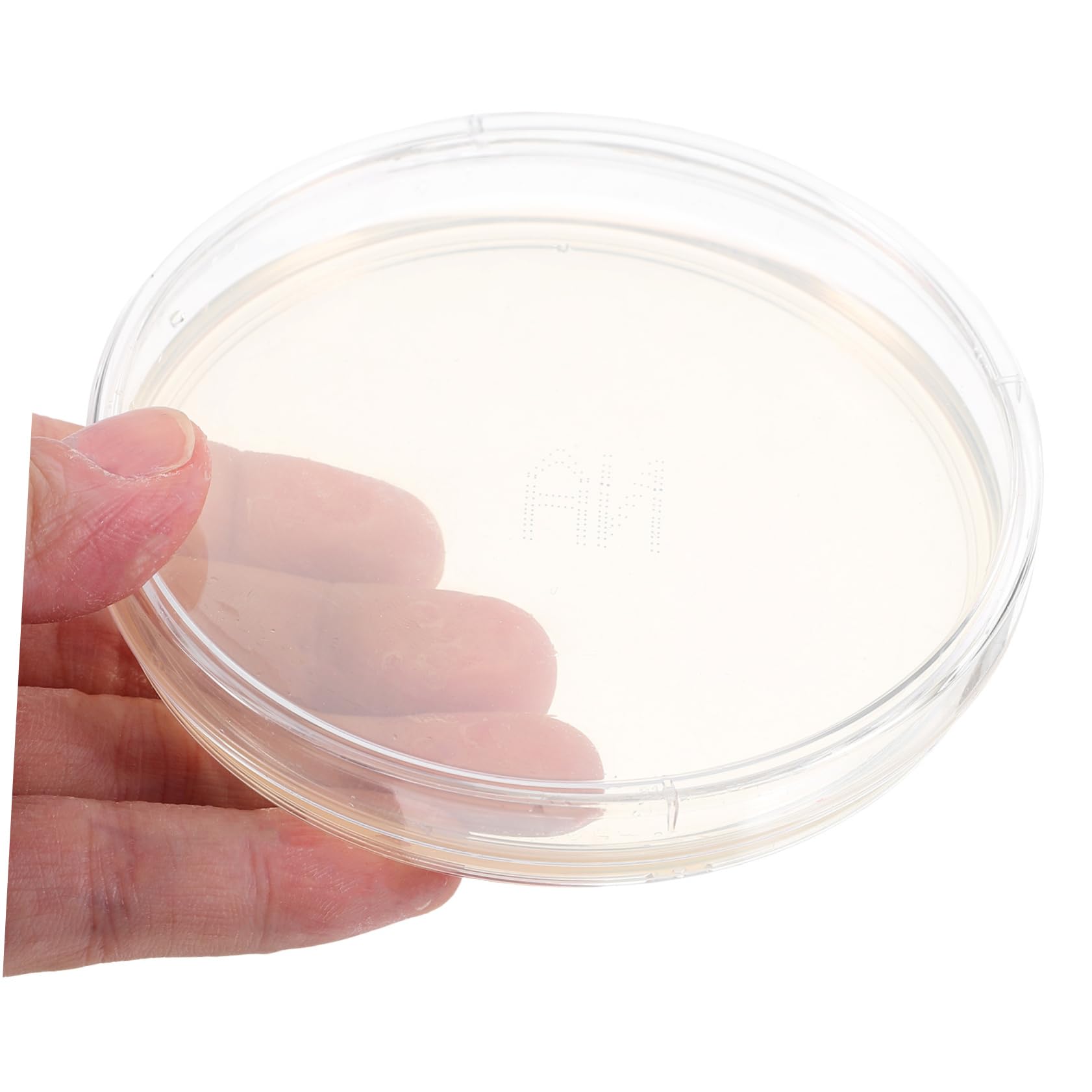 Plaques De Gélose Pré-Coulées Boîtes De Pétri Pour Laboratoire 10 Pièces Pour Stockage De Cultures Isolement De Cultures Pures Expériences À Domicile Et Projets Scientifiques