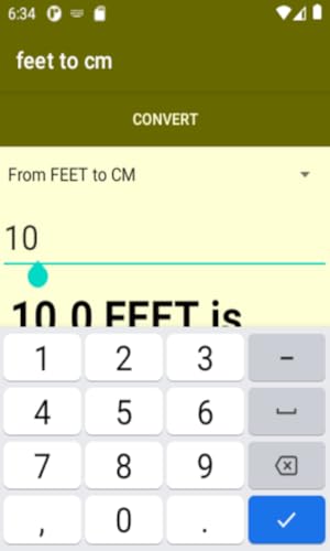 Convert Feet to CM