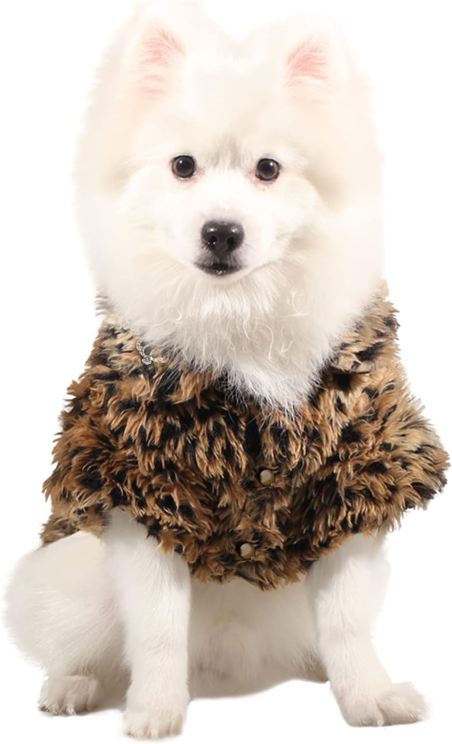 leopard print dog coat
