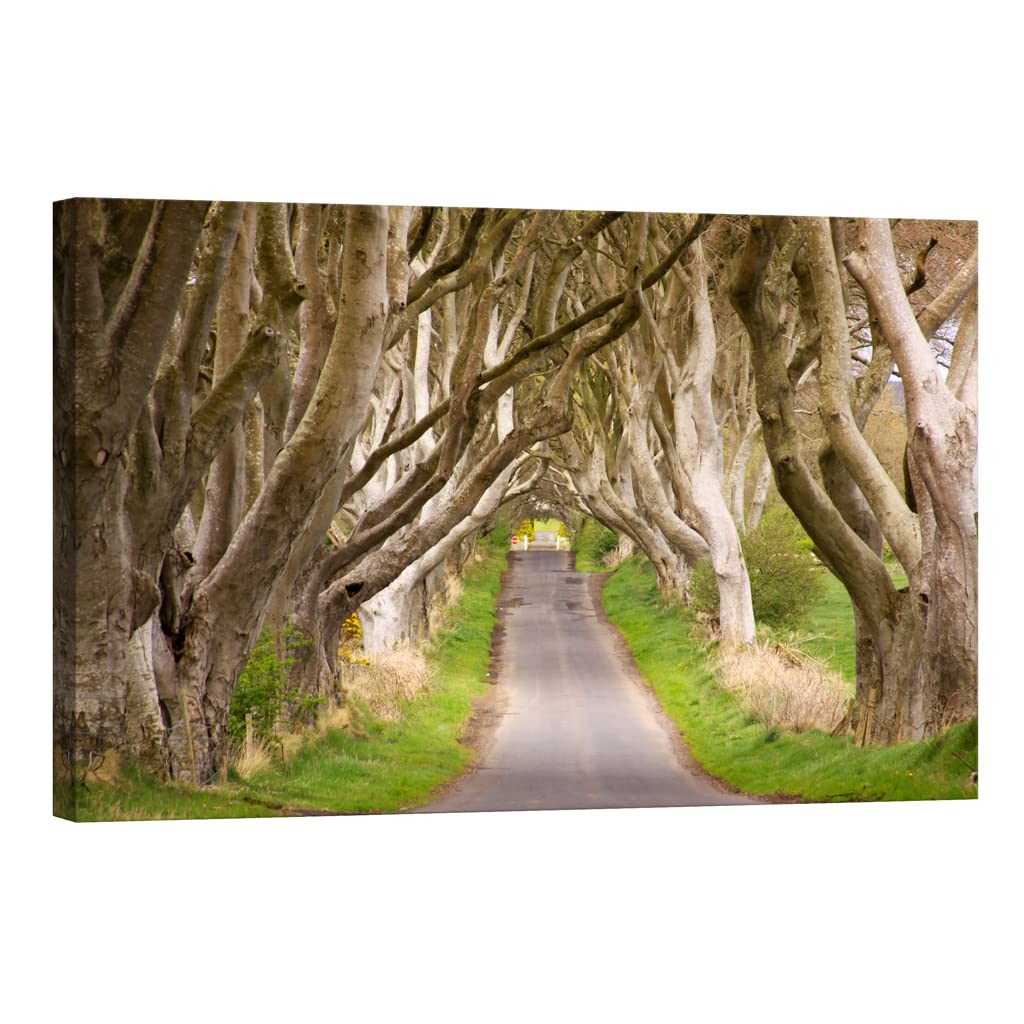 Lights in the dark tableau Nature DCL268-2 illuminant votre chambre la nuit