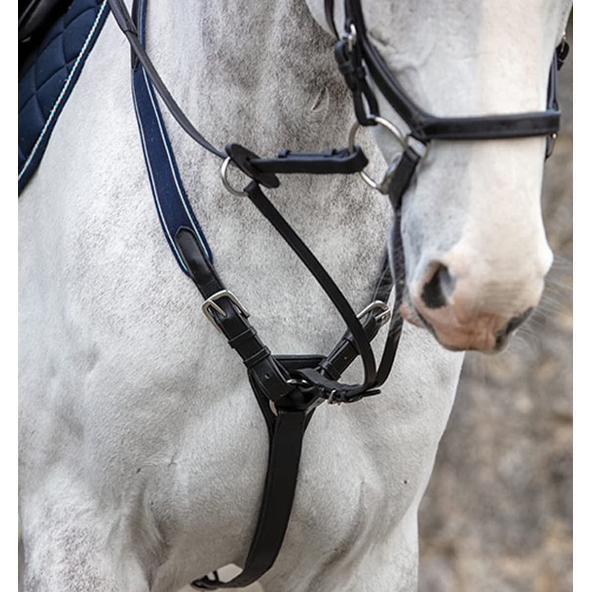 Ovation Elite 5-Point Padded Breastplate