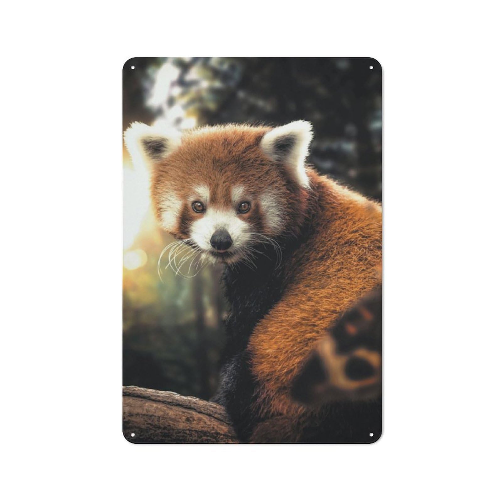 Junmoney The Red Panda Retro Tin Wall Plaque 30X20cm Featuring For Garage Wall, For Vintage Wall Decor Fans, For Themed Room Decoration