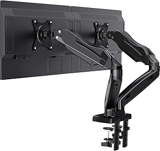 ErGear Dual Monitor Stand, Dual Monitor Mount for 13-30 inch Screens up to 17.6lbs, VESA 75x75mm-100x100mm, Dual Monitor Arms for Home and Office