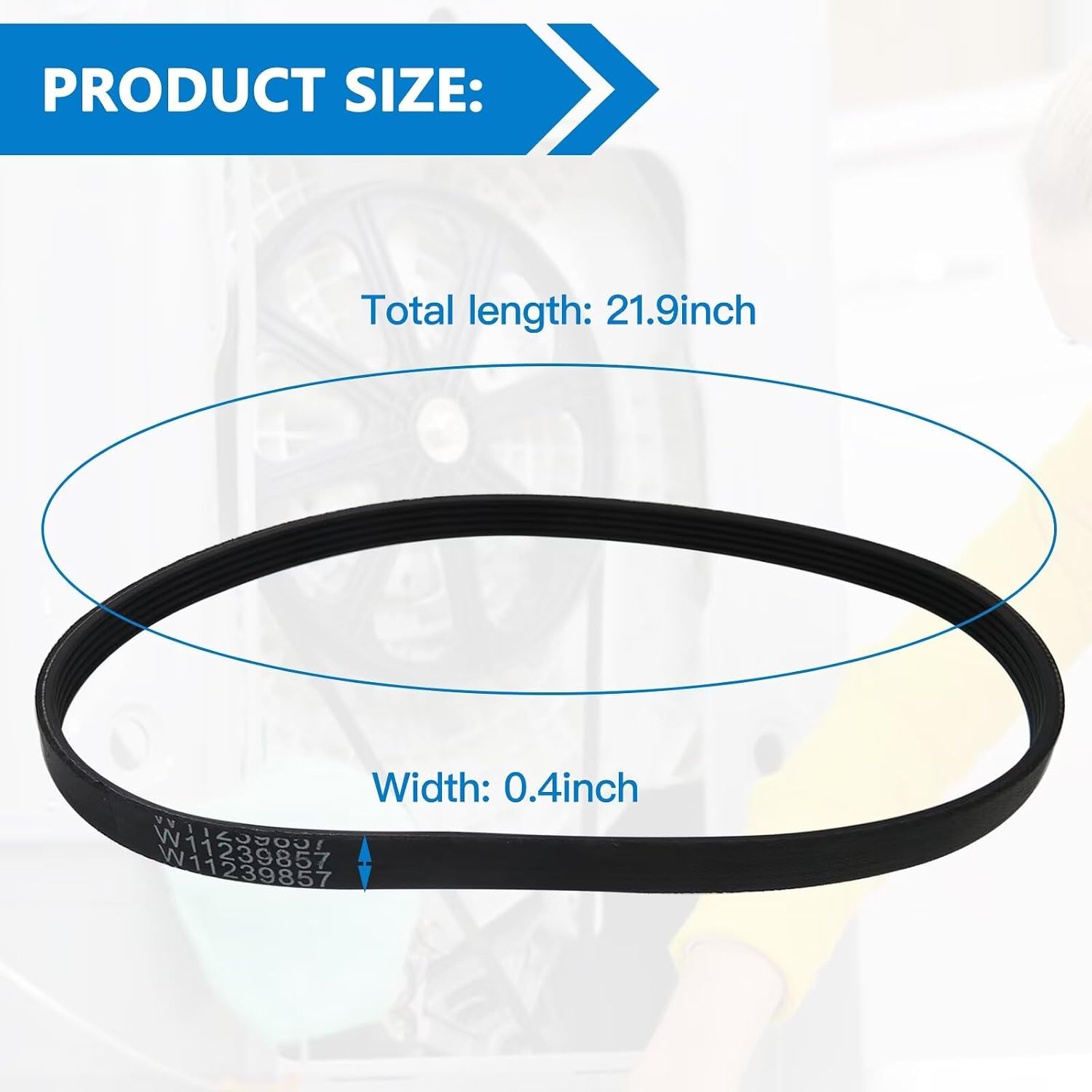 WE12M29 Replacement Washer Drive Belt For wtw5100hc1 wtw5100hc2 wtw5100hw0 wtw5100hw1 wtw5100hw2