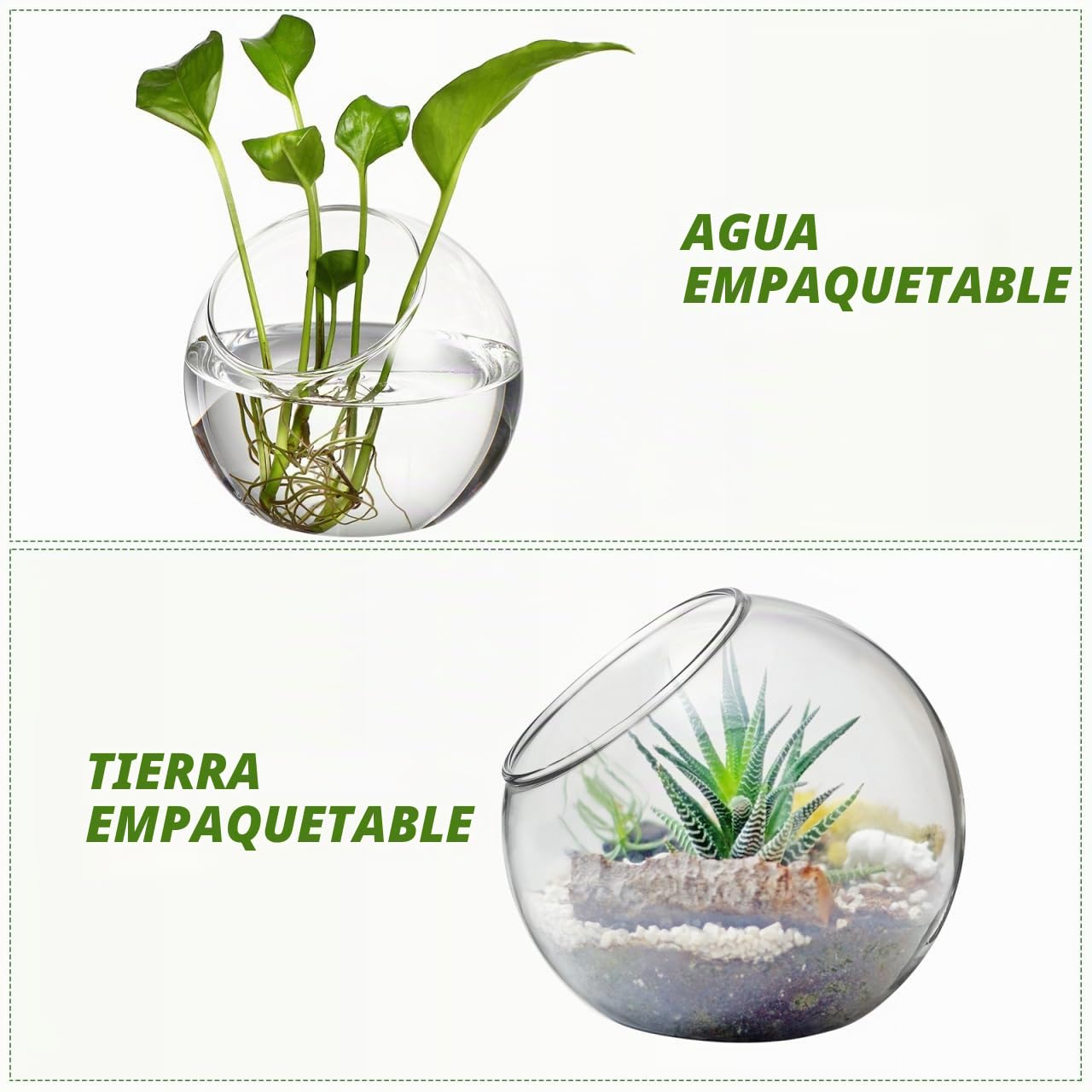 Mipcase Jarrones De Vidrio Transparente para Almacenamiento: 6 Cuencos Decorativos EsféRicos para Centro De Mesa Y Terrarios