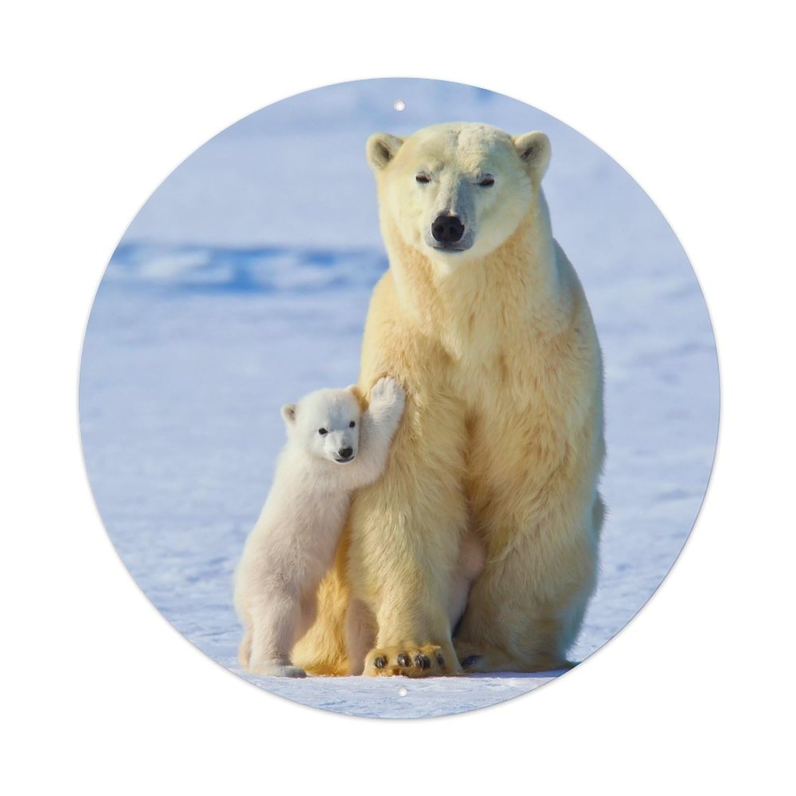 Animals Poster Polar Bear Father And Son on The Snow Metal Tin Sign