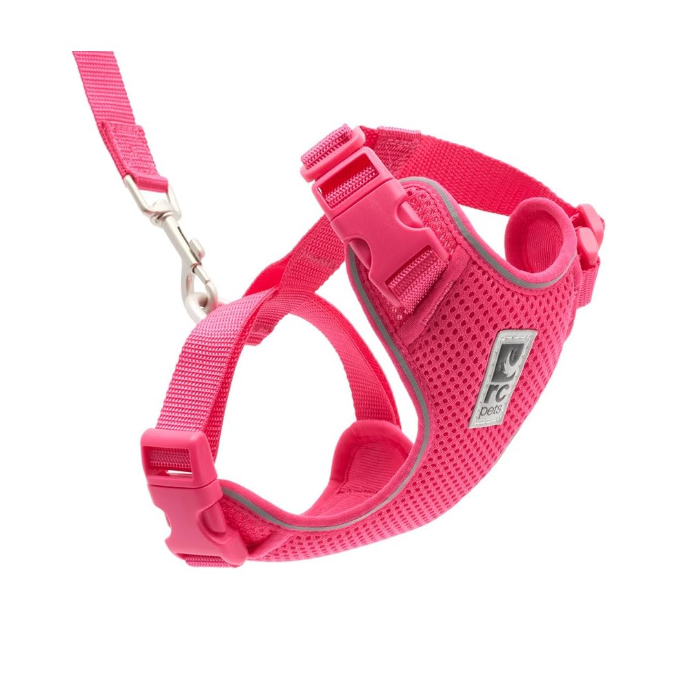 RC Pets Adventure Kitty - Arnés para gato | Chaleco de malla de aire ajustable con anillo en D y correa de 6 pies para caminar y viajar | Azalea, pequeño