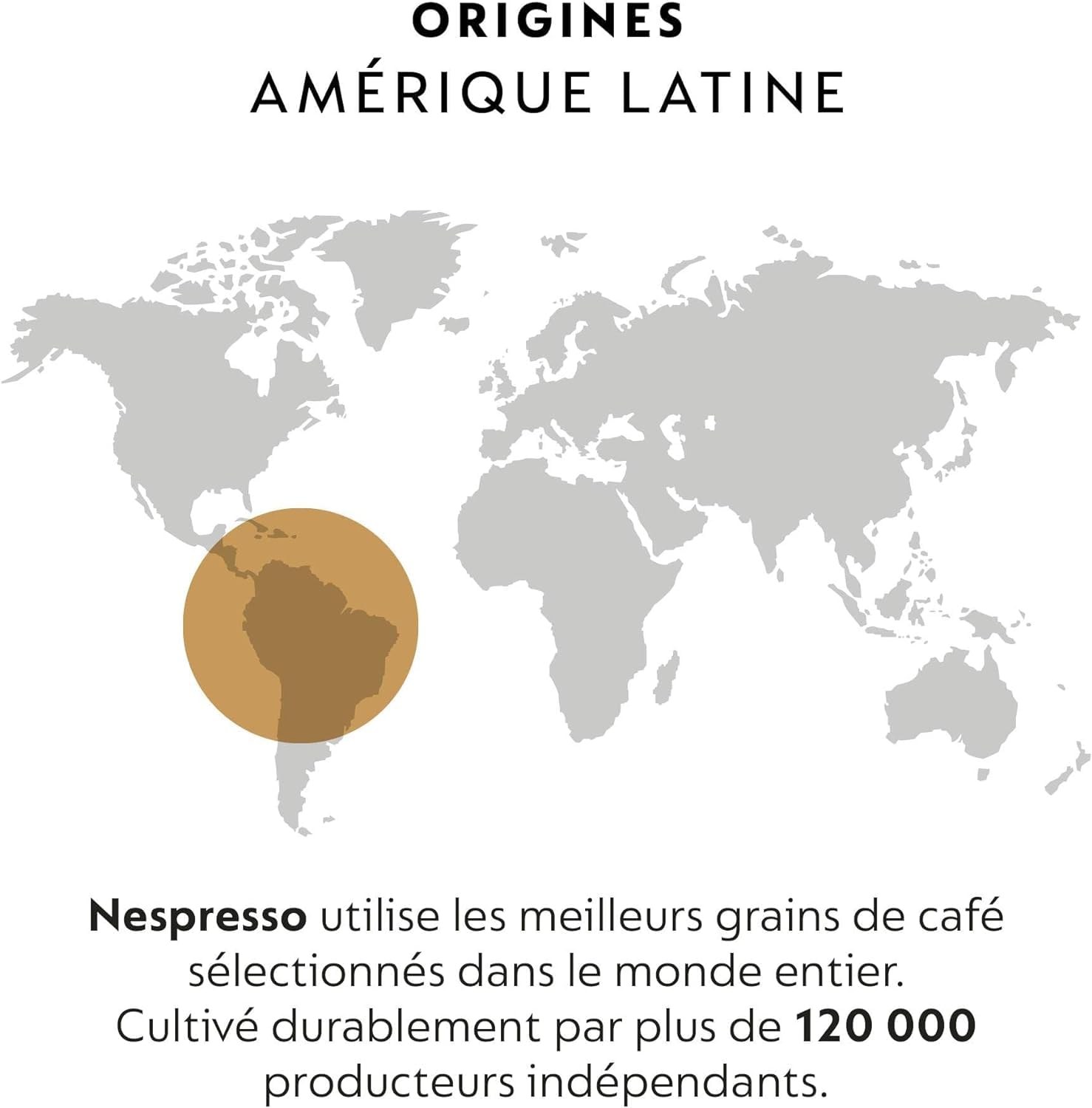 Nespresso Professionnel - Bundle 100 Capsules cafés - Classic LEGGERO (2 boîtes de 50) - Adapté aux professionnels