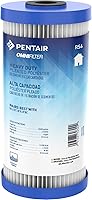 Pentair OMNIFilter RS6 10" Big Blue Pleated Sediment Filter - Heavy Duty Whole House Replacement Cartridge, 10x4.5", 30K Gallons