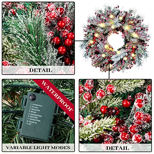 Wanna-Cul Pre-Lit 24 Inch Lighted Christmas Wreath For Front Door Decor With Frosted Red Berries And Snowy Artificial Spruce,Battery Operated 30 Led Lights #TOP2