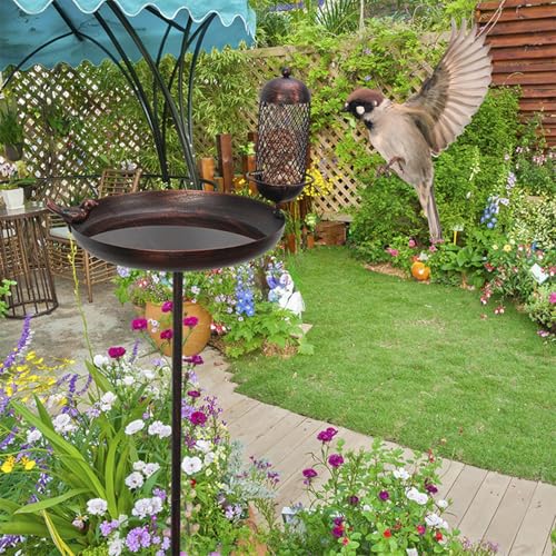 Bain d'oiseaux stable pour eviter les chutes de structure dans le jardin - 4