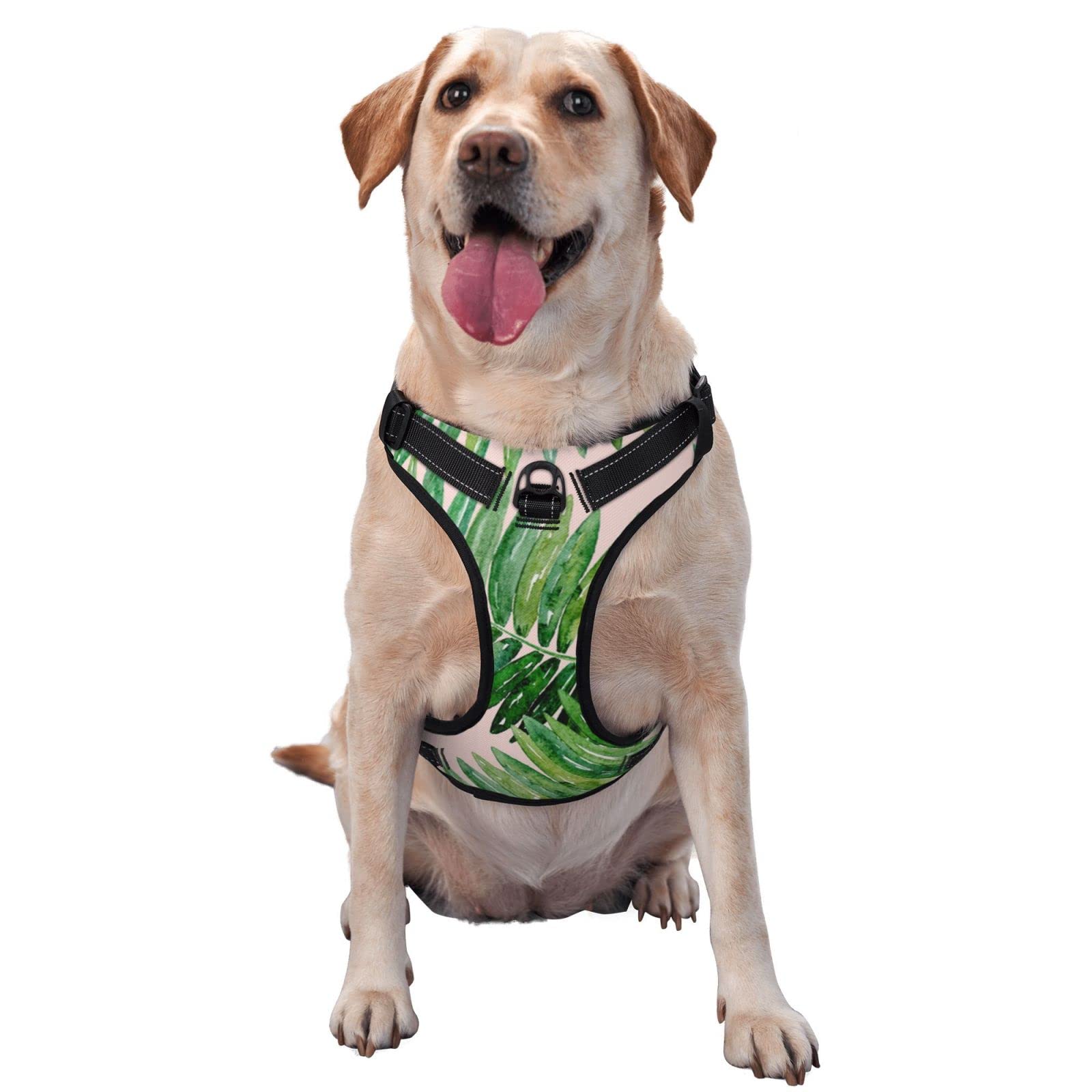 Harnais pour chien au design feuilles de palmier en tissu Oxford robuste et finitions soignées