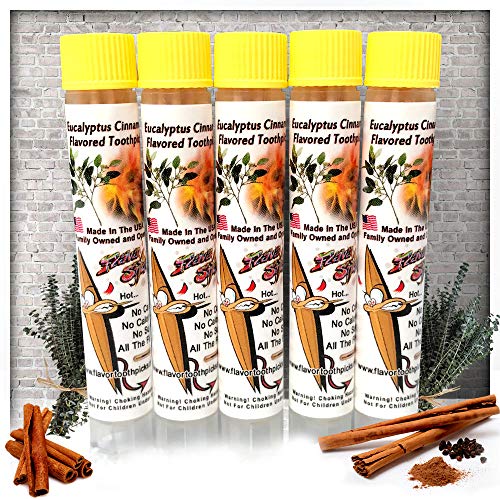 5 Pack of Eucalyptus Cinnamon Toothpick in Tubes And Hanging Resealable Bag