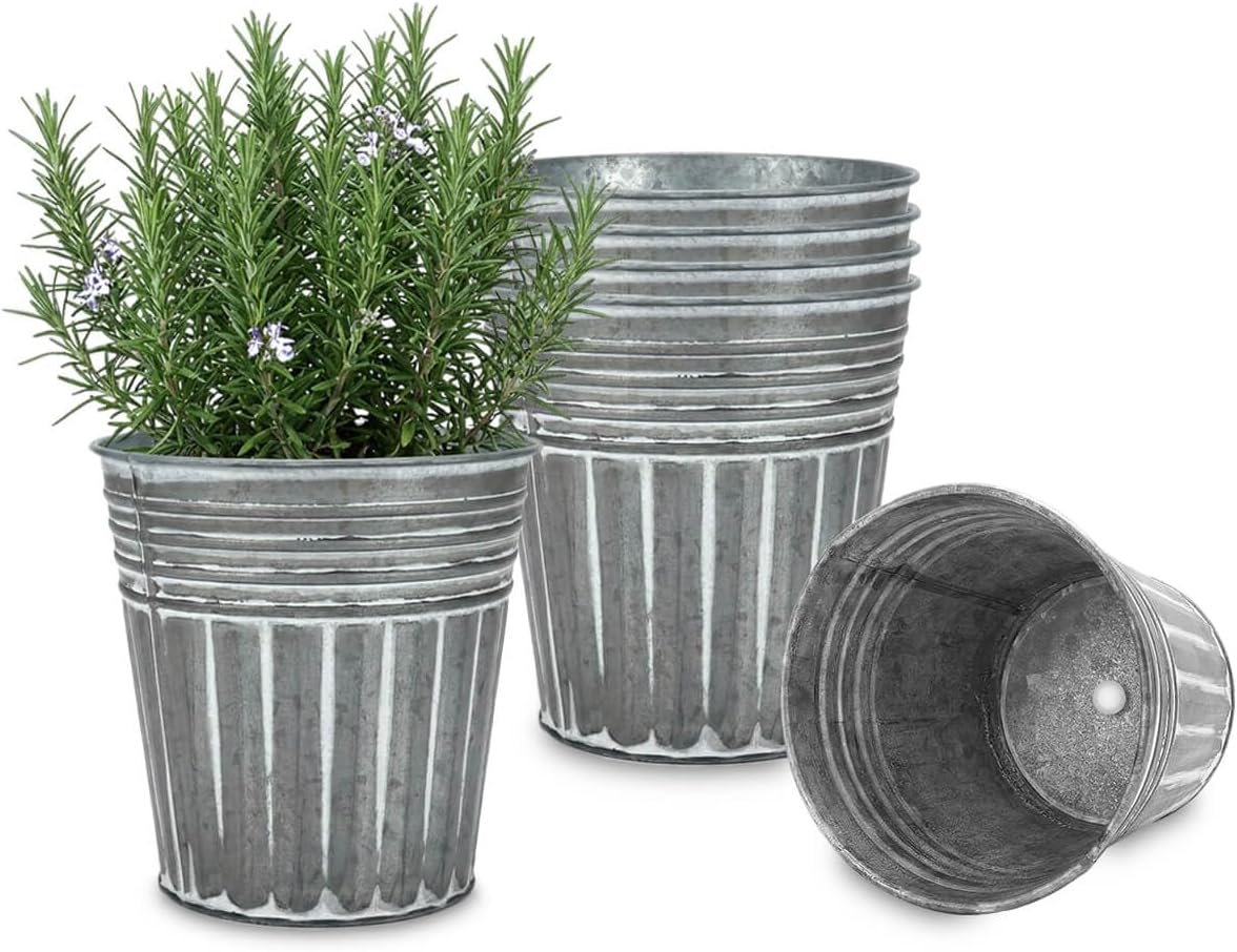 Vensovo 6 Inch Rustic Galvanized Metal Flower Pots - 6 Pack Silver Planters with Drainage Holes & Plugs, Rustproof Farmhouse Vintage Buckets for Succulents Herbs Indoor Outdoor Decor