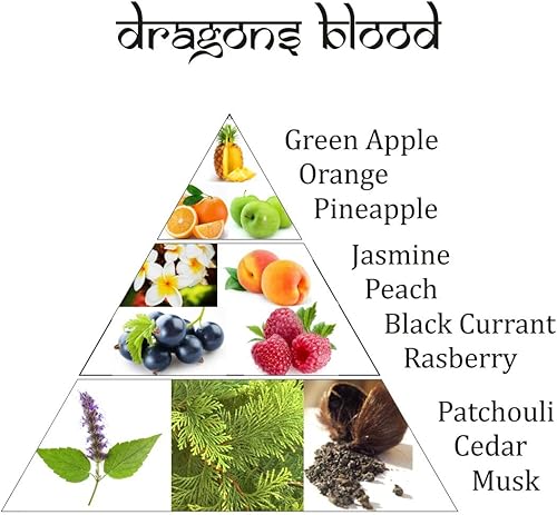 Miniatura 4 de Aromafume Ladrillos de incienso de sangre de dragones (2 bandejas x 9 piezas cada una) con difusor de incienso exótico del árbol de la vida, ideal