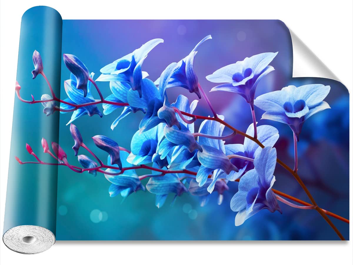 Papier Peint Orchidée Bleue Moderne pour Créer un Salon Cosy et Élégant