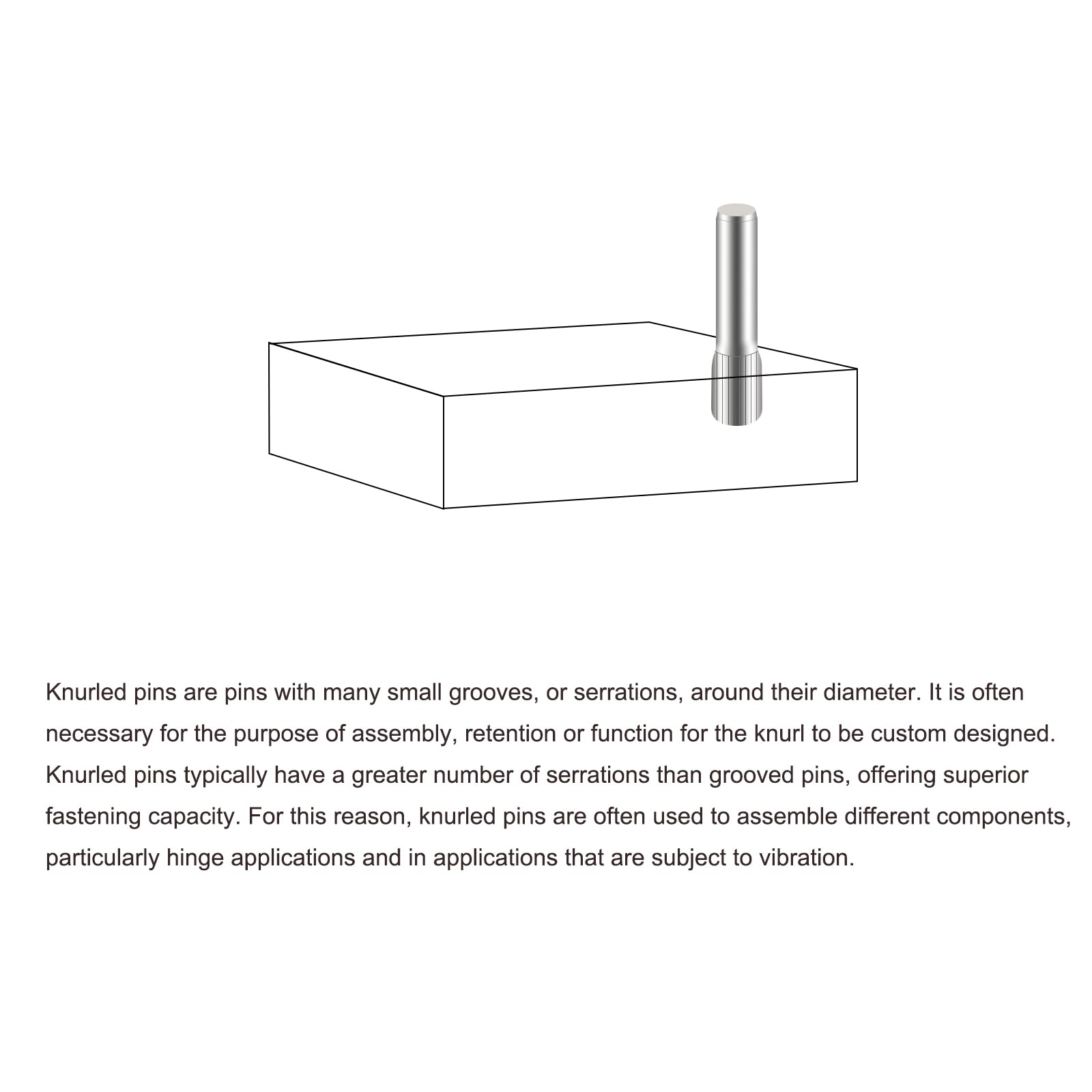 QUARKZMAN 3,1x14mm 304 Spine in Acciaio Inossidabile, 40pz Spina a Testa Scanalata con Estremità Piana, Spina Cilindrica Posizionamento Supporto Letto Scaffale Elementi Fissaggio Ripiani