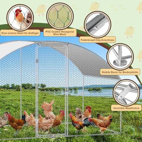 Randaco Recinzione per pollaio, 3 x 2 x 2 m, in acciaio zincato, Dome Roof, con panno impermeabile in polietilene e serratura, per polli, piante di piccoli animali, veloce da pulire - immagine 5